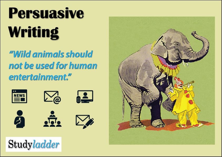 Animal Entertainment: Ethical Considerations and Alternatives