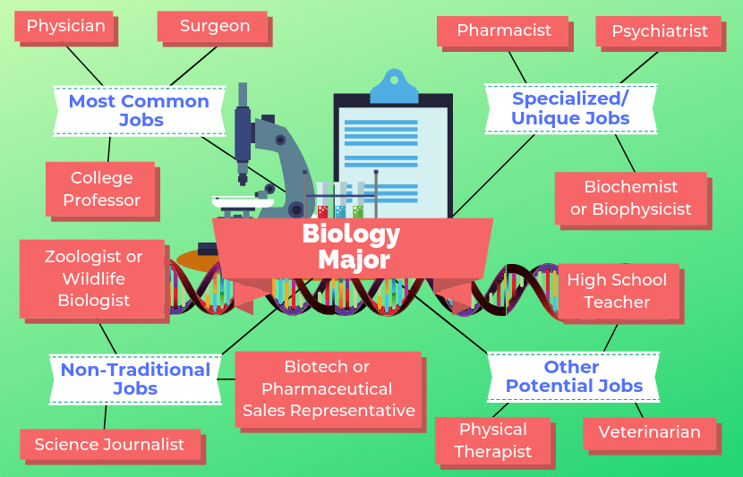 Biology Degree Career Paths: Complete Guide to Professional Opportunities